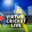 Virtual Cricket